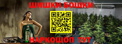 шишки Малоярославец
