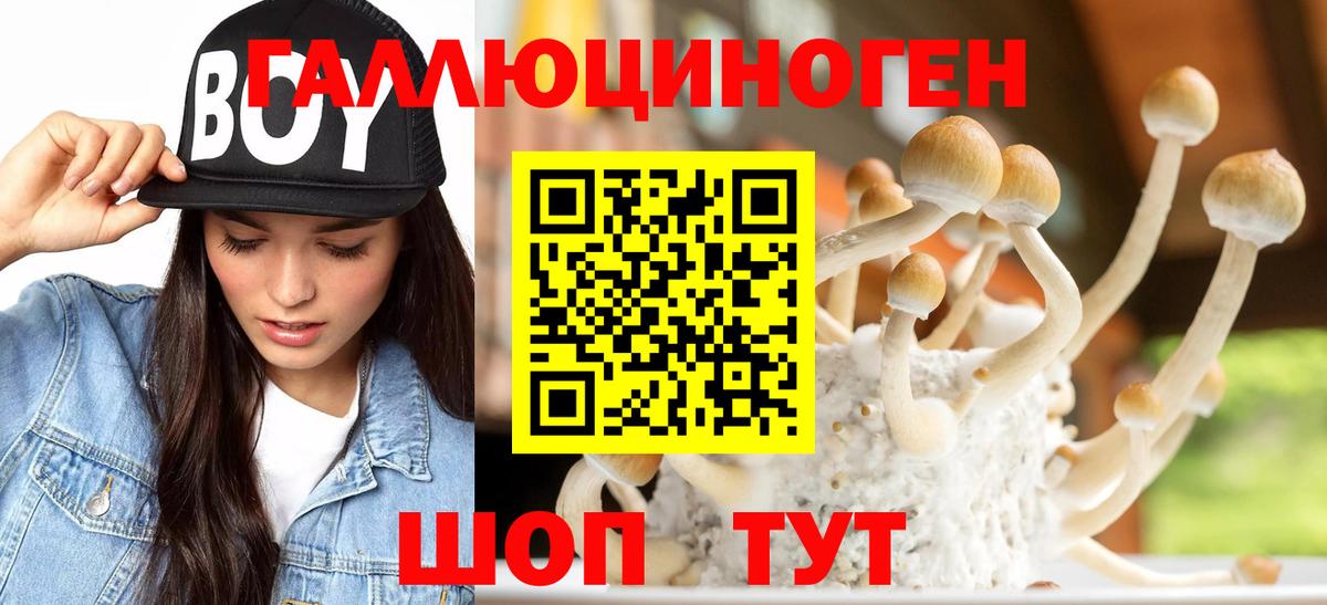 Сызрань  магазин    Вход с VPN  Псилоцибиновые грибы мухоморы 